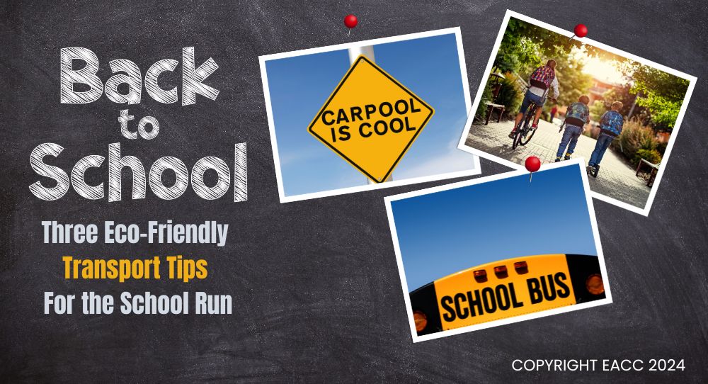 Back to School: Three Eco-Friendly Transport Tips for the School Run